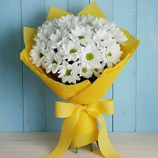 Букет цветов из:  Хризантемы в Знаменском Краснодарский край