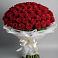 Букет 101 Красная роза Блэк Мэджик в Знаменском Краснодарский край