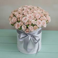 Цветочная композиция из Розы в шляпной коробке в Знаменском Краснодарский край