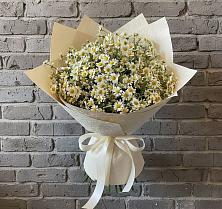 Букет цветов из:  Ромашки в Знаменском Краснодарский край