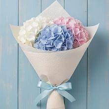 Букет цветов из:  Гортензия в Знаменском Краснодарский край