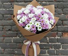 Букет цветов из:  Хризантемы в Знаменском Краснодарский край