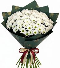Букет цветов из:  Хризантемы #REPLACE_PRED# Знаменском Краснодарский край