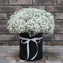 Цветочная композиция из Гипсофила в шляпной коробке в Знаменском Краснодарский край