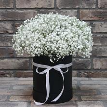 Цветочная композиция из Гипсофила в шляпной коробке в Знаменском Краснодарский край