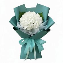 Букет цветов из:  Гортензия в Знаменском Краснодарский край